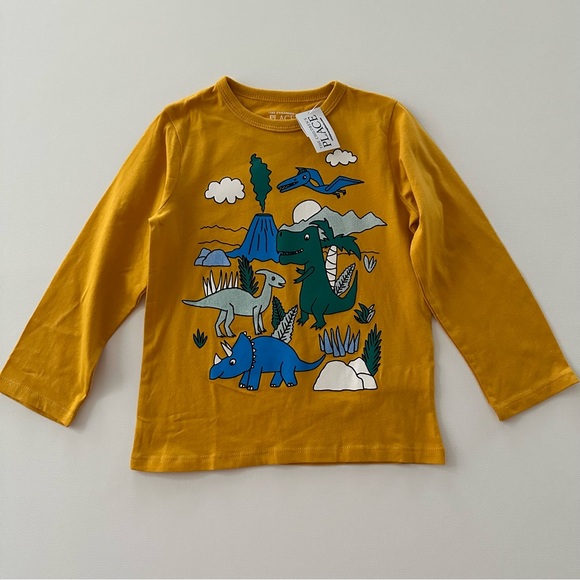 Toddler Boy 4T Dinosaur Long Sleeve Top - Picture 1 of 3